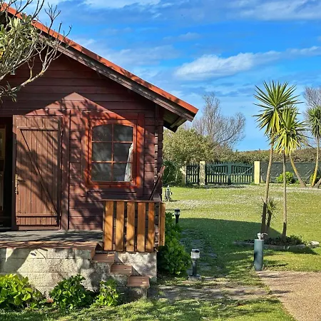 Pitu - 17801 펜션 *