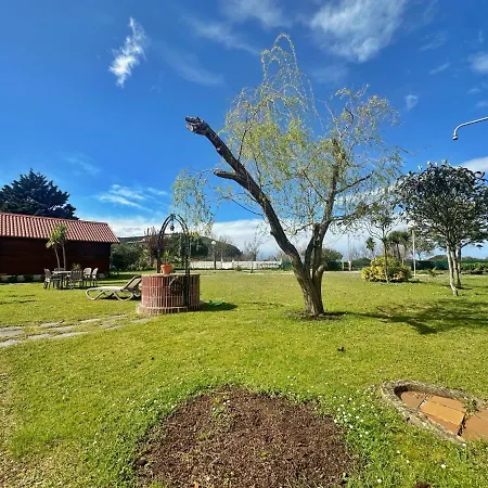 Pitu - 17801 * Piedrahita (Cantabria)